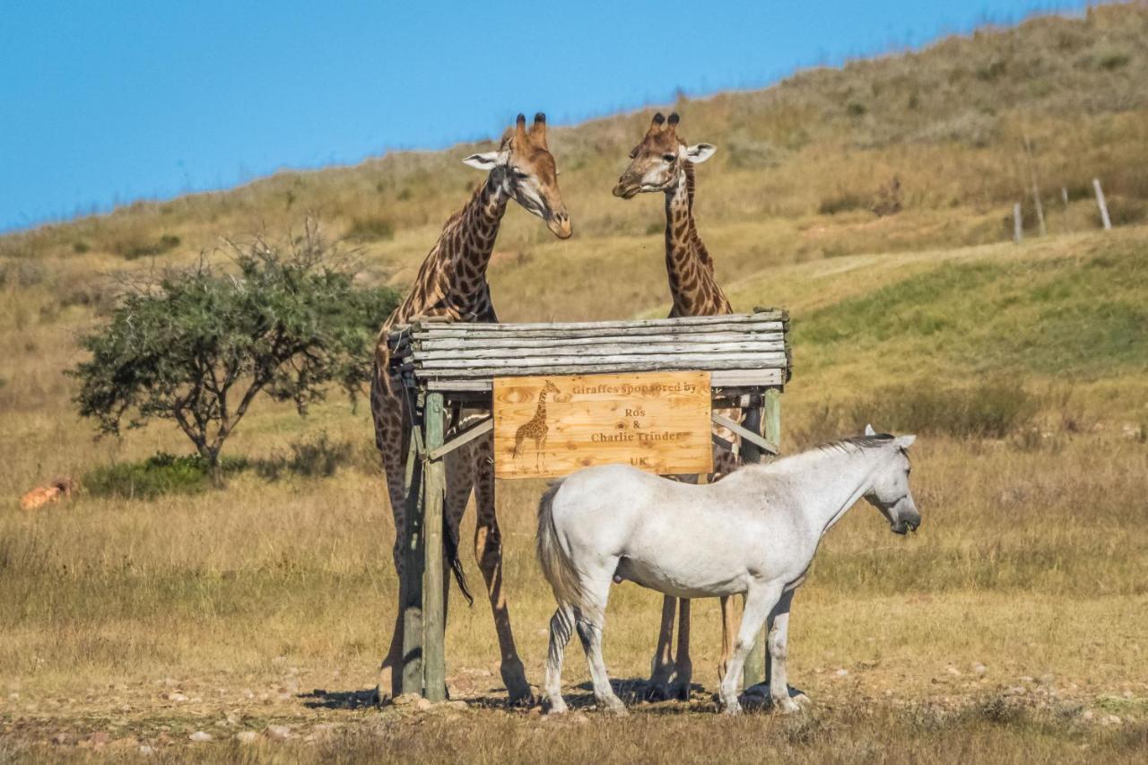 Kwetu Guest Farm Villa Swellendam Eksteriør billede